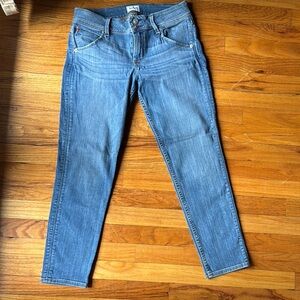 Hudson Jeans Blue Skinny Denim